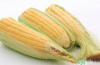 玉米怎样冷冻保存新鲜,新鲜玉米可以直接冷冻保存吗?