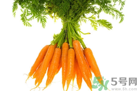胡萝卜成分和营养价值,胡萝卜的成分和营养含量