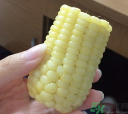 玉米的各种做法,玉米有什么做法