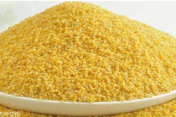 黄米有什么营养价值呢(黄米的营养价值)