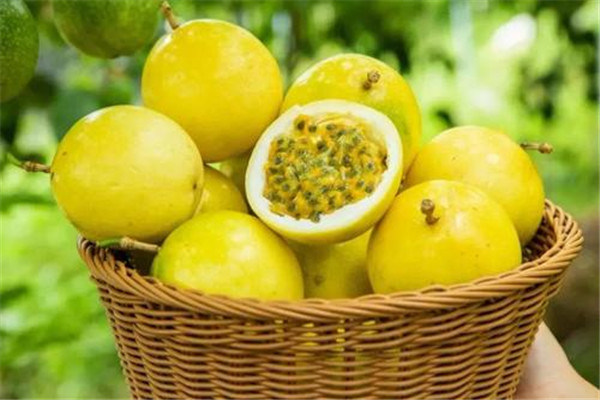 百香果一天可以吃几个(百香果一天可以吃几个最好) 百香果一天可以吃几个(百香果一天可以吃几个最好)