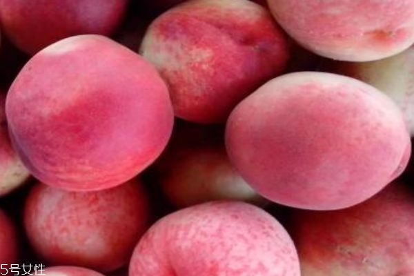 毛桃的营养价值是什么呢(毛桃营养价值及功效)