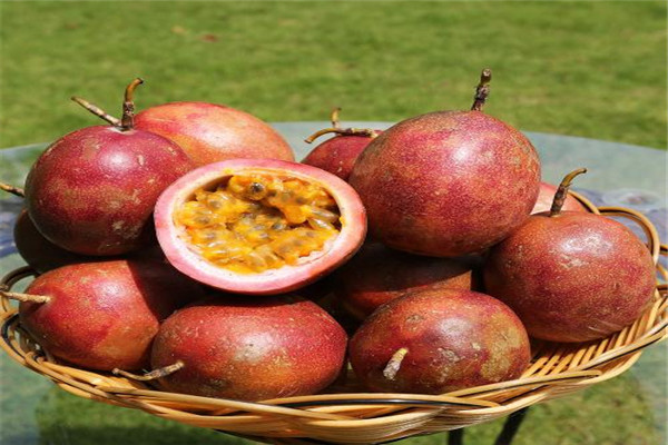 哪些人不适合吃百香果(哪些人不适合吃百香果蜂蜜)