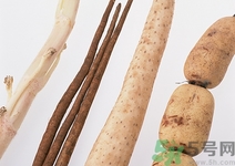 山药的主要营养成分是什么,山药的主要成分及其应用价值