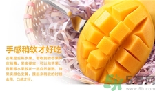 凯特芒果怎么挑选,凯特芒果怎么挑 凯特芒果怎么挑选,凯特芒果怎么挑