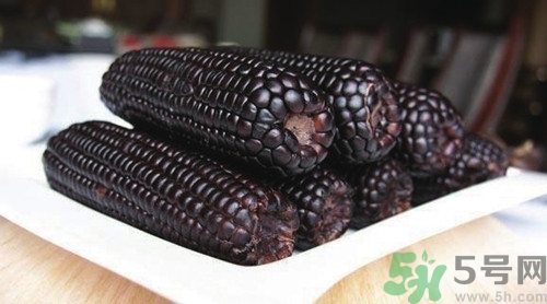 黑玉米的营养成分,黑玉米的营养价值 黑玉米的营养成分,黑玉米的营养价值