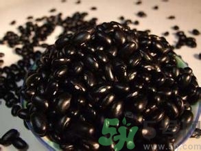 东北甜糯黑玉米是转基因的吗,什么样的玉米是转基因玉米