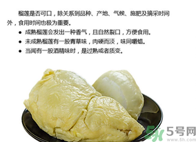 如何挑选成熟的榴莲,怎么挑选好的榴莲 如何挑选成熟的榴莲,怎么挑选好的榴莲