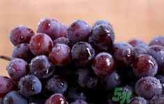 新鲜葡萄怎么保存时间长,新鲜葡萄怎么保存