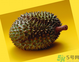 榴莲放冰箱是冷藏还是冷冻,榴莲放在冷冻还是冷藏 榴莲放冰箱是冷藏还是冷冻,榴莲放在冷冻还是冷藏