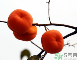 吃什么容易发胖,吃什么水果不容易发胖 吃什么容易发胖,吃什么水果不容易发胖