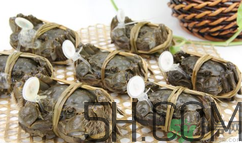 毛蟹和大闸蟹哪个贵,毛蟹和大闸蟹哪个好吃