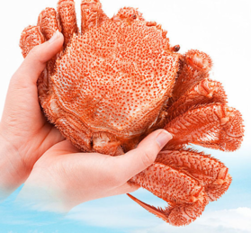 毛蟹怎么去毛,毛蟹怎么去除毛