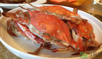 大闸蟹的做法清蒸几分钟,清蒸螃蟹的做法和步骤