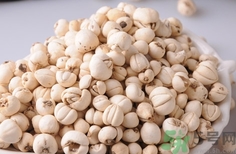 川贝的功效和用法用量,川贝的用法和用量 川贝的功效和用法用量,川贝的用法和用量