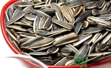 葵瓜子的功效和作用及禁忌,南瓜子的作用和功效