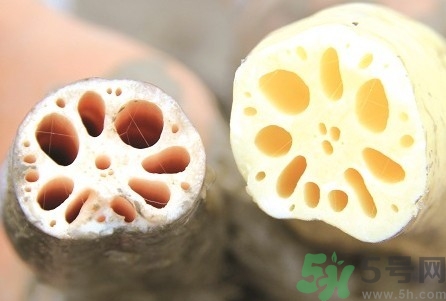 莲藕怎么保存才新鲜不变黑,莲藕怎么保存时间长