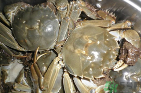 活河蟹怎么保存方法,怎样保存活螃蟹 活河蟹怎么保存方法,怎样保存活螃蟹