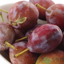 西梅的功效和作用,一天吃几颗,西梅的功效和作用图片