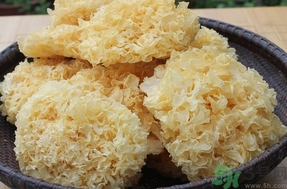 银耳的营养价值及功效,银耳的营养价值及功效和禁忌