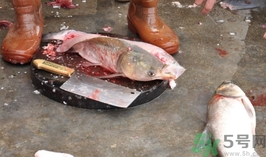 黑鱼太滑怎么切片,怎样杀黑鱼才不滑