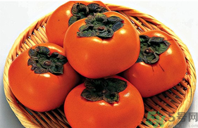 懒柿子怎么做,懒柿子怎么做又甜又脆视频