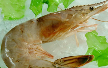 青虾怎么做好吃又简单,青虾怎么做好吃?