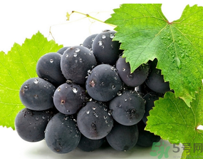 减肥期间晚上吃葡萄会胖吗,吃葡萄能减肥吗