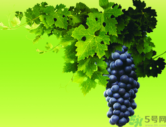 晚上吃葡萄干好吗,宝宝晚上吃葡萄好吗