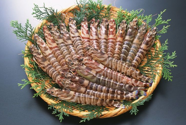 海虾怎么煮又嫩又好吃,大虾怎样做好吃 海虾怎么煮又嫩又好吃,大虾怎样做好吃