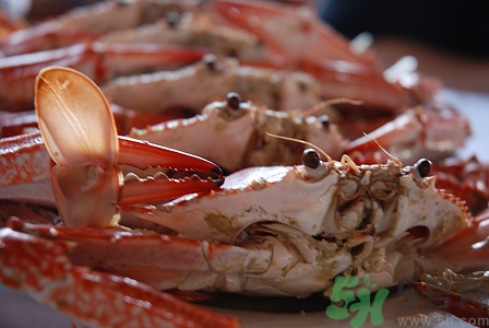 活螃蟹冷藏能放多久,活螃蟹冷藏可以放多久 活螃蟹冷藏能放多久,活螃蟹冷藏可以放多久