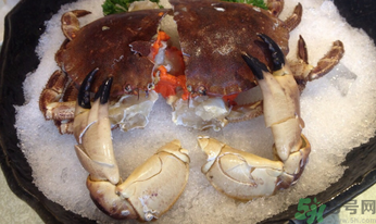 面包蟹做法清蒸,面包蟹的做法怎么做好吃