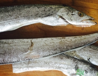 带鱼的鱼鳞怎么刮,带鱼鱼鳞需要刮掉吗