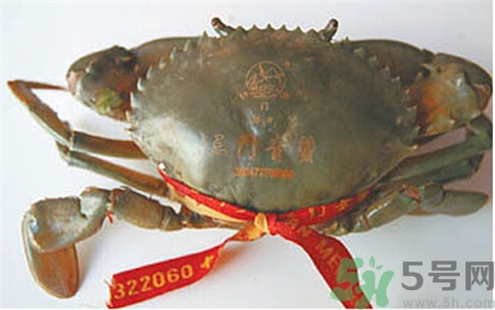 孕妇可以吃青蟹么,孕早期可以吃青蟹吗