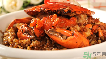 螃蟹外形特征,什么是膏蟹