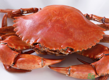 青蟹和梭子蟹口感啥区别,青蟹好吃还是梭子蟹好吃