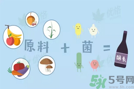 酵素有减肥作用吗,减肥吃酵素有用吗