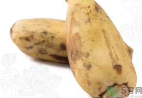 怎么挑选莲藕是绵还是脆,怎么挑选莲藕粉的 怎么挑选莲藕是绵还是脆,怎么挑选莲藕粉的