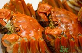 盘锦河蟹阳澄湖大闸蟹的区别,盘锦河蟹和阳澄湖大闸蟹区别