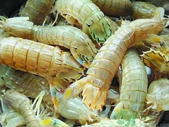 虾虎怎么做好吃?,虎虾怎么做最好吃