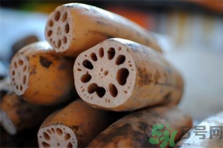 怎么挑选莲藕是绵还是脆,怎么挑选莲藕粉的