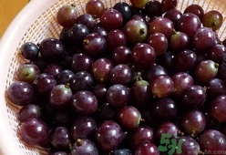 葡萄为什么要用盐水泡一下,葡萄要用盐水泡多长时间