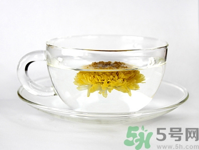 菊花茶泡水温度,菊花泡茶水温度多少 菊花茶泡水温度,菊花泡茶水温度多少