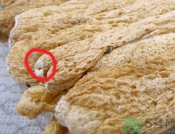 竹荪哪个部位不能吃图解,竹荪应该怎么吃? 竹荪哪个部位不能吃图解,竹荪应该怎么吃?