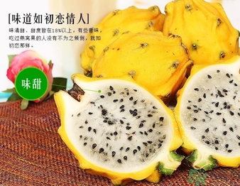 黄火龙果的功效和作用,黄龙果和火龙果的功效一样吗