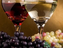 蜂蜜的营养价值和功效和作用,蜂蜜的营养价值及功效和禁忌