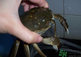 清洗的步骤分为,清洗步骤包括 四个步骤