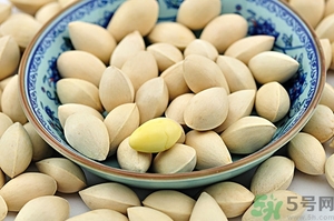 白果储藏方法,白果的保存方法