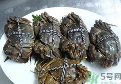 大闸蟹的营养成分,大闸蟹的营养价值及功效介绍