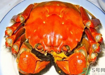 哪里的大闸蟹最有名,大闸蟹怎么做才好吃 哪里的大闸蟹最有名,大闸蟹怎么做才好吃